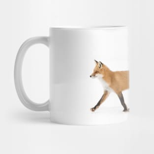 Red Fox - Algonquin Park Mug